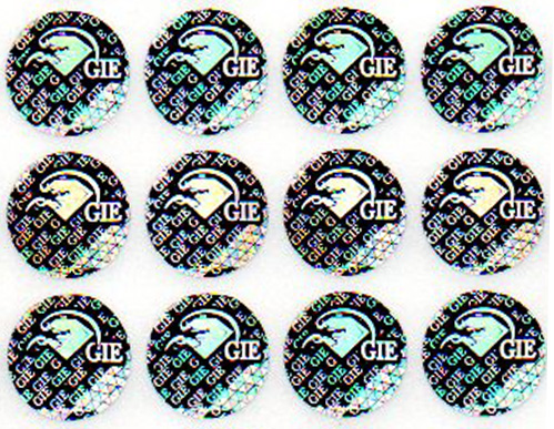 GIE hologram introduction